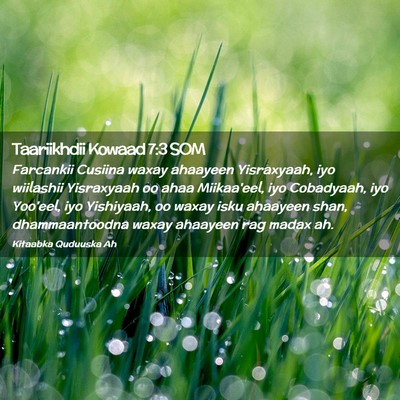 Picture 02 - Taariikhdii Kowaad 7:3 SOM - Farcankii Cusiina waxay ahaayeen Yisraxyaah, iyo - Bible Verse Picture