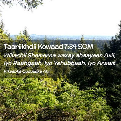 Picture 02 - Taariikhdii Kowaad 7:34 SOM - Wiilashii Shemerna waxay ahaayeen Axii, iyo - Bible Verse Picture