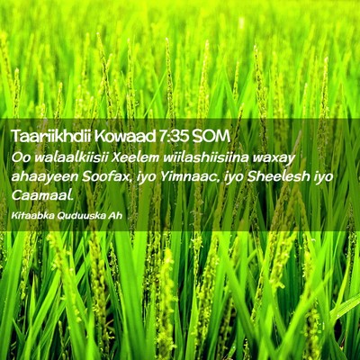 Picture 02 - Taariikhdii Kowaad 7:35 SOM - Oo walaalkiisii Xeelem wiilashiisiina waxay - Bible Verse Picture