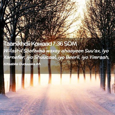 Picture 02 - Taariikhdii Kowaad 7:36 SOM - Wiilashii Soofaxna waxay ahaayeen Suu'ax, iyo - Bible Verse Picture