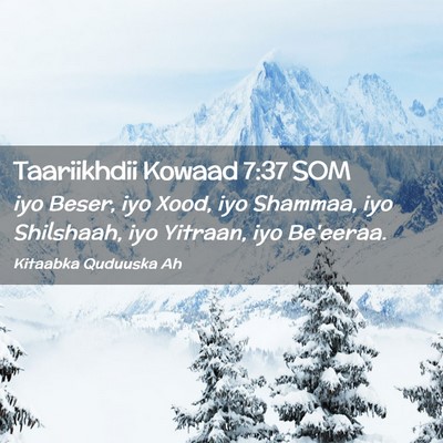 Picture 02 - Taariikhdii Kowaad 7:37 SOM - iyo Beser, iyo Xood, iyo Shammaa, iyo Shilshaah, - Bible Verse Picture