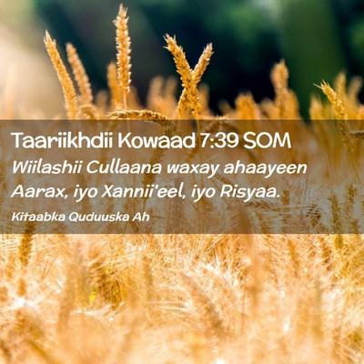 Picture 02 - Taariikhdii Kowaad 7:39 SOM - Wiilashii Cullaana waxay ahaayeen Aarax, iyo - Bible Verse Picture