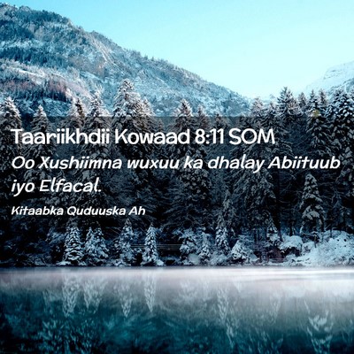 Picture 02 - Taariikhdii Kowaad 8:11 SOM - Oo Xushiimna wuxuu ka dhalay Abiituub iyo - Bible Verse Picture