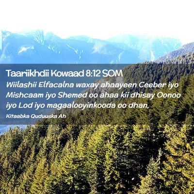Picture 02 - Taariikhdii Kowaad 8:12 SOM - Wiilashii Elfacalna waxay ahaayeen Ceeber iyo - Bible Verse Picture