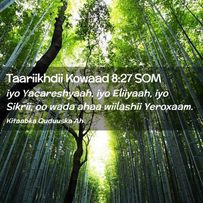Picture 02 - Taariikhdii Kowaad 8:27 SOM - iyo Yacareshyaah, iyo Eliiyaah, iyo Sikrii, oo - Bible Verse Picture