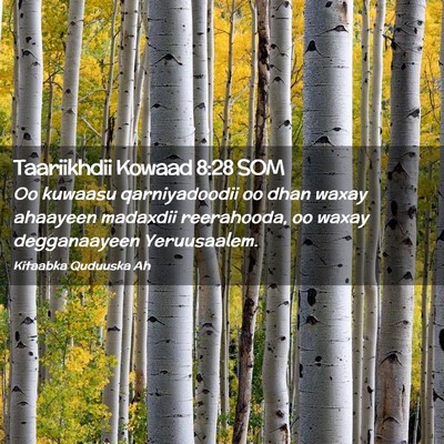 Picture 02 - Taariikhdii Kowaad 8:28 SOM - Oo kuwaasu qarniyadoodii oo dhan waxay ahaayeen - Bible Verse Picture