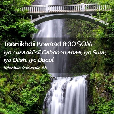 Picture 02 - Taariikhdii Kowaad 8:30 SOM - iyo curadkiisii Cabdoon ahaa, iyo Suur, iyo - Bible Verse Picture