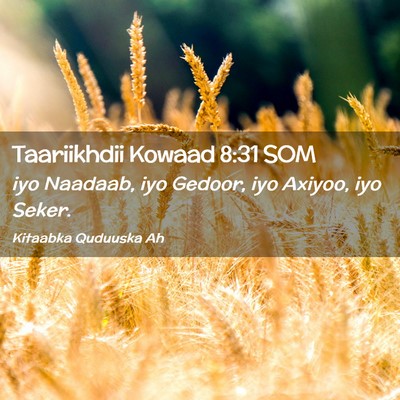 Picture 02 - Taariikhdii Kowaad 8:31 SOM - iyo Naadaab, iyo Gedoor, iyo Axiyoo, iyo - Bible Verse Picture