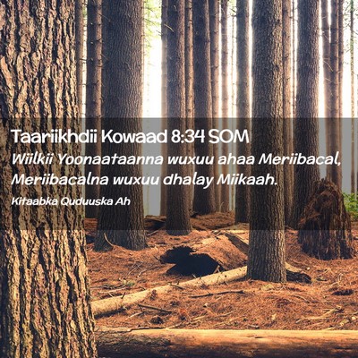 Picture 02 - Taariikhdii Kowaad 8:34 SOM - Wiilkii Yoonaataanna wuxuu ahaa Meriibacal, - Bible Verse Picture