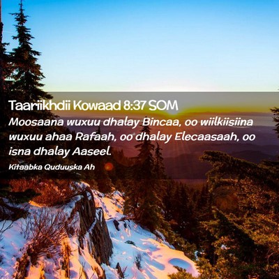 Picture 02 - Taariikhdii Kowaad 8:37 SOM - Moosaana wuxuu dhalay Bincaa, oo wiilkiisiina - Bible Verse Picture