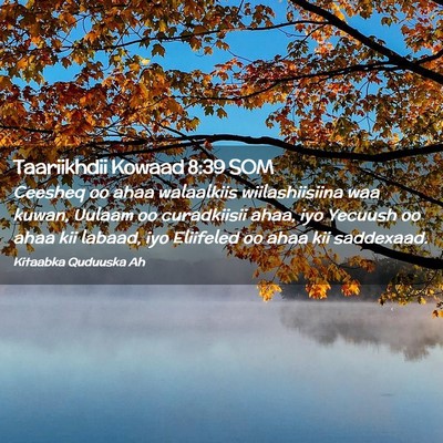 Picture 02 - Taariikhdii Kowaad 8:39 SOM - Ceesheq oo ahaa walaalkiis wiilashiisiina waa - Bible Verse Picture