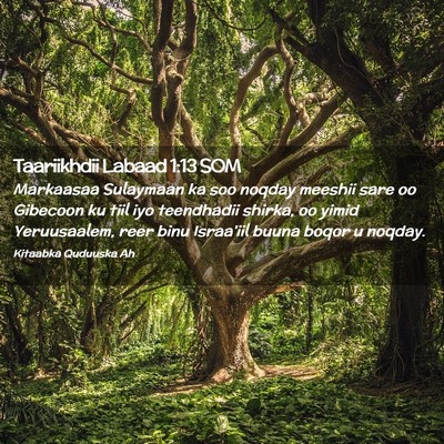 Picture 02 - Taariikhdii Labaad 1:13 SOM - Markaasaa Sulaymaan ka soo noqday meeshii sare oo - Bible Verse Picture