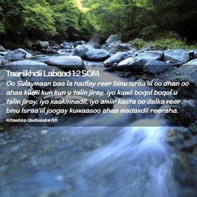 Picture 02 - Taariikhdii Labaad 1:2 SOM - Oo Sulaymaan baa la hadlay reer binu Israa'iil oo - Bible Verse Picture
