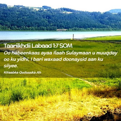 Picture 02 - Taariikhdii Labaad 1:7 SOM - Oo habeenkaas ayaa Ilaah Sulaymaan u muuqday oo - Bible Verse Picture
