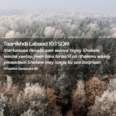 Picture 02 - Taariikhdii Labaad 10:1 SOM - Markaasaa Rexabcaam wuxuu tegey Shekem, maxaa - Bible Verse Picture