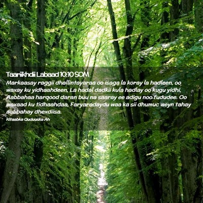 Picture 02 - Taariikhdii Labaad 10:10 SOM - Markaasay raggii dhallintayaraa oo isaga la koray - Bible Verse Picture
