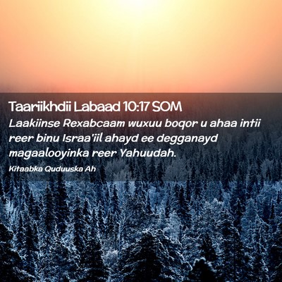 Picture 02 - Taariikhdii Labaad 10:17 SOM - Laakiinse Rexabcaam wuxuu boqor u ahaa intii reer - Bible Verse Picture