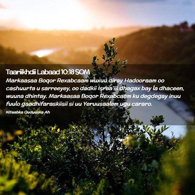 Picture 02 - Taariikhdii Labaad 10:18 SOM - Markaasaa Boqor Rexabcaam wuxuu diray Hadooraam - Bible Verse Picture