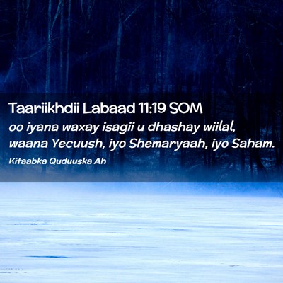 Picture 02 - Taariikhdii Labaad 11:19 SOM - oo iyana waxay isagii u dhashay wiilal, waana - Bible Verse Picture