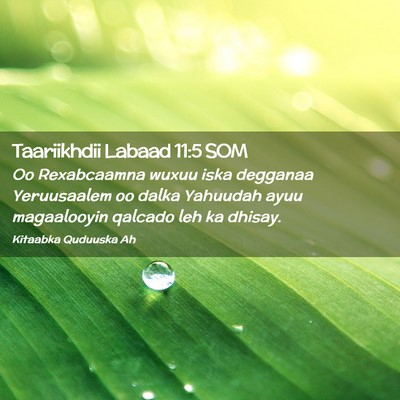 Picture 02 - Taariikhdii Labaad 11:5 SOM - Oo Rexabcaamna wuxuu iska degganaa Yeruusaalem oo - Bible Verse Picture