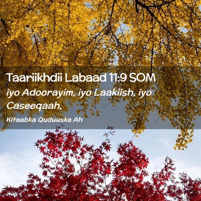 Picture 02 - Taariikhdii Labaad 11:9 SOM - iyo Adoorayim, iyo Laakiish, iyo - Bible Verse Picture