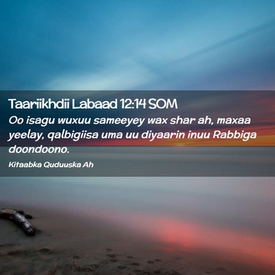 Picture 02 - Taariikhdii Labaad 12:14 SOM - Oo isagu wuxuu sameeyey wax shar ah, maxaa - Bible Verse Picture
