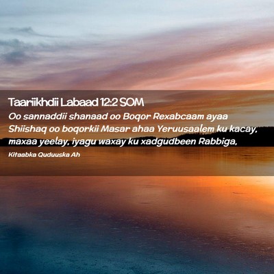 Picture 02 - Taariikhdii Labaad 12:2 SOM - Oo sannaddii shanaad oo Boqor Rexabcaam ayaa - Bible Verse Picture
