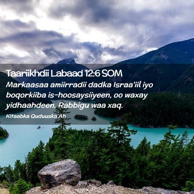 Picture 02 - Taariikhdii Labaad 12:6 SOM - Markaasaa amiirradii dadka Israa'iil iyo - Bible Verse Picture