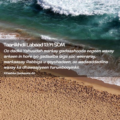 Picture 02 - Taariikhdii Labaad 13:14 SOM - Oo dadkii Yahuudah markay gadaashooda eegeen - Bible Verse Picture