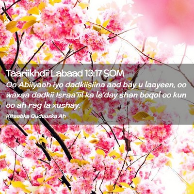 Picture 02 - Taariikhdii Labaad 13:17 SOM - Oo Abiiyaah iyo dadkiisiina aad bay u laayeen, oo - Bible Verse Picture