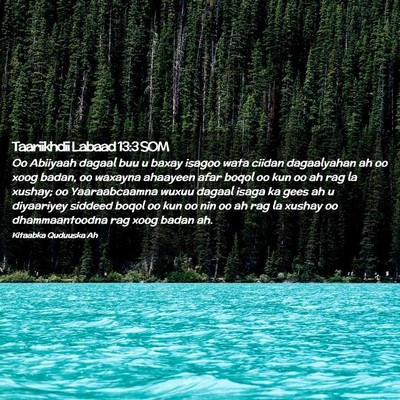 Picture 02 - Taariikhdii Labaad 13:3 SOM - Oo Abiiyaah dagaal buu u baxay isagoo wata ciidan - Bible Verse Picture
