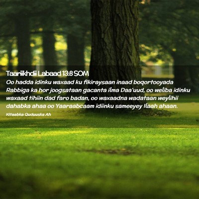 Picture 02 - Taariikhdii Labaad 13:8 SOM - Oo hadda idinku waxaad ku fikiraysaan inaad - Bible Verse Picture