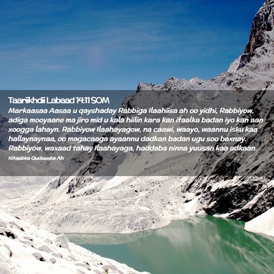 Picture 02 - Taariikhdii Labaad 14:11 SOM - Markaasaa Aasaa u qayshaday Rabbiga Ilaahiisa ah - Bible Verse Picture