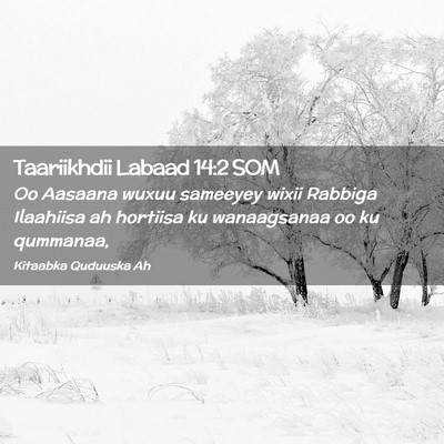 Picture 02 - Taariikhdii Labaad 14:2 SOM - Oo Aasaana wuxuu sameeyey wixii Rabbiga Ilaahiisa - Bible Verse Picture