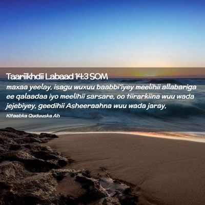 Picture 02 - Taariikhdii Labaad 14:3 SOM - maxaa yeelay, isagu wuxuu baabbi'iyey meelihii - Bible Verse Picture