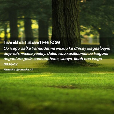 Picture 02 - Taariikhdii Labaad 14:6 SOM - Oo isagu dalka Yahuudahna wuxuu ka dhisay - Bible Verse Picture