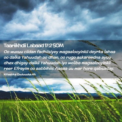 Picture 02 - Taariikhdii Labaad 17:2 SOM - Oo wuxuu ciidan fadhiisiyey magaalooyinkii deyrka - Bible Verse Picture