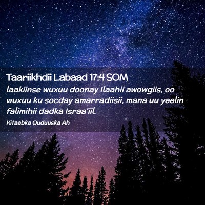Picture 02 - Taariikhdii Labaad 17:4 SOM - laakiinse wuxuu doonay Ilaahii awowgiis, oo wuxuu - Bible Verse Picture