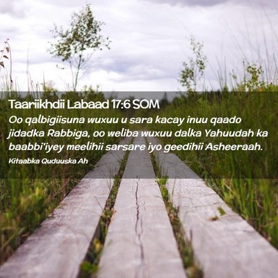 Picture 02 - Taariikhdii Labaad 17:6 SOM - Oo qalbigiisuna wuxuu u sara kacay inuu qaado - Bible Verse Picture