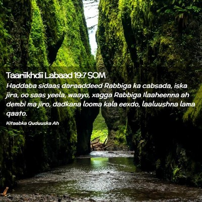Picture 02 - Taariikhdii Labaad 19:7 SOM - Haddaba sidaas daraaddeed Rabbiga ka cabsada, - Bible Verse Picture