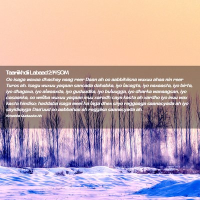 Picture 02 - Taariikhdii Labaad 2:14 SOM - Oo isaga waxaa dhashay naag reer Daan ah oo - Bible Verse Picture