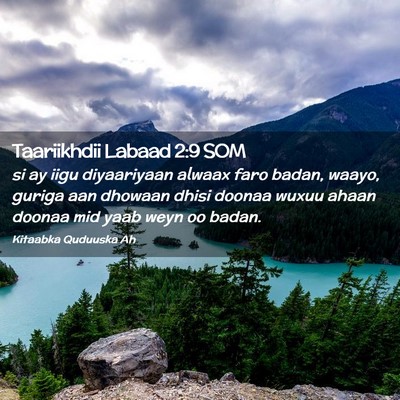 Picture 02 - Taariikhdii Labaad 2:9 SOM - si ay iigu diyaariyaan alwaax faro badan, waayo, - Bible Verse Picture