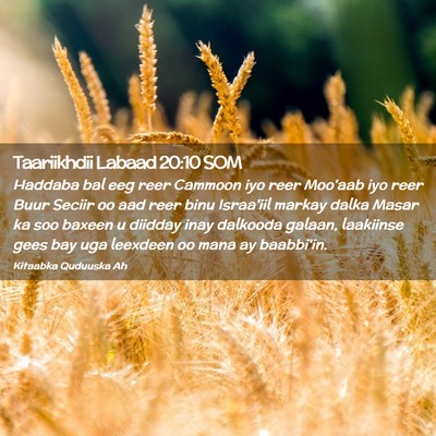 Picture 02 - Taariikhdii Labaad 20:10 SOM - Haddaba bal eeg reer Cammoon iyo reer Moo'aab iyo - Bible Verse Picture