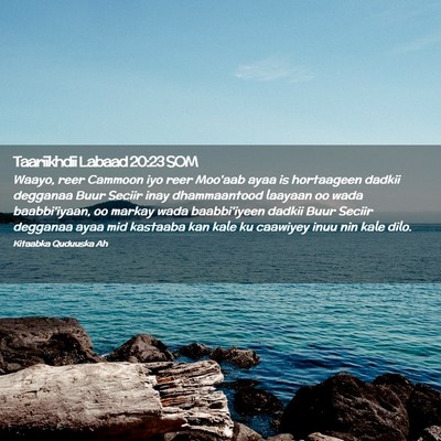 Picture 02 - Taariikhdii Labaad 20:23 SOM - Waayo, reer Cammoon iyo reer Moo'aab ayaa is - Bible Verse Picture