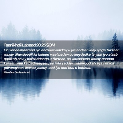 Picture 02 - Taariikhdii Labaad 20:25 SOM - Oo Yehooshaafaad iyo dadkiisii markay u yimaadeen - Bible Verse Picture