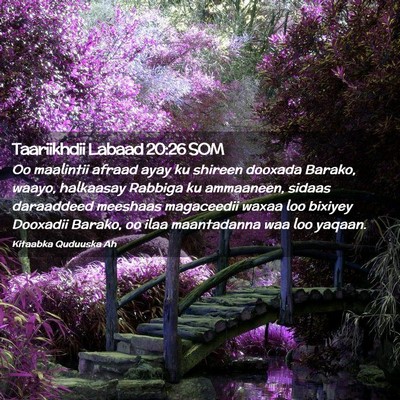 Picture 02 - Taariikhdii Labaad 20:26 SOM - Oo maalintii afraad ayay ku shireen dooxada - Bible Verse Picture