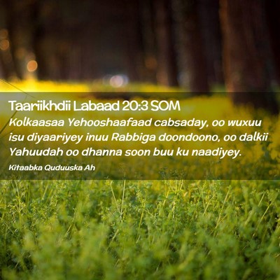 Picture 02 - Taariikhdii Labaad 20:3 SOM - Kolkaasaa Yehooshaafaad cabsaday, oo wuxuu isu - Bible Verse Picture