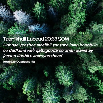 Picture 02 - Taariikhdii Labaad 20:33 SOM - Habase yeeshee meelihii sarsare lama baabbi'in, - Bible Verse Picture