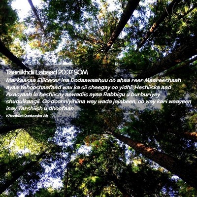Picture 02 - Taariikhdii Labaad 20:37 SOM - Markaasaa Eliiceser ina Dodaawaahuu oo ahaa reer - Bible Verse Picture