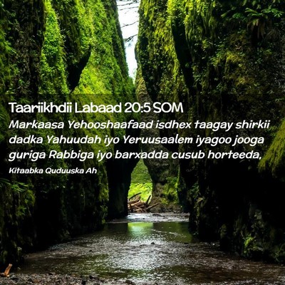 Picture 02 - Taariikhdii Labaad 20:5 SOM - Markaasa Yehooshaafaad isdhex taagay shirkii - Bible Verse Picture